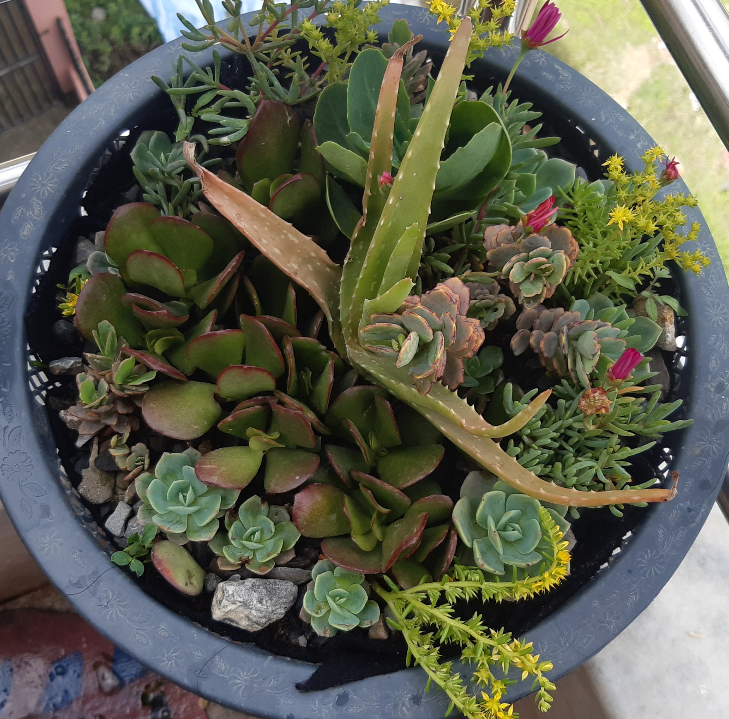 Incorporate Natural Elements (image credits: wikimedia)