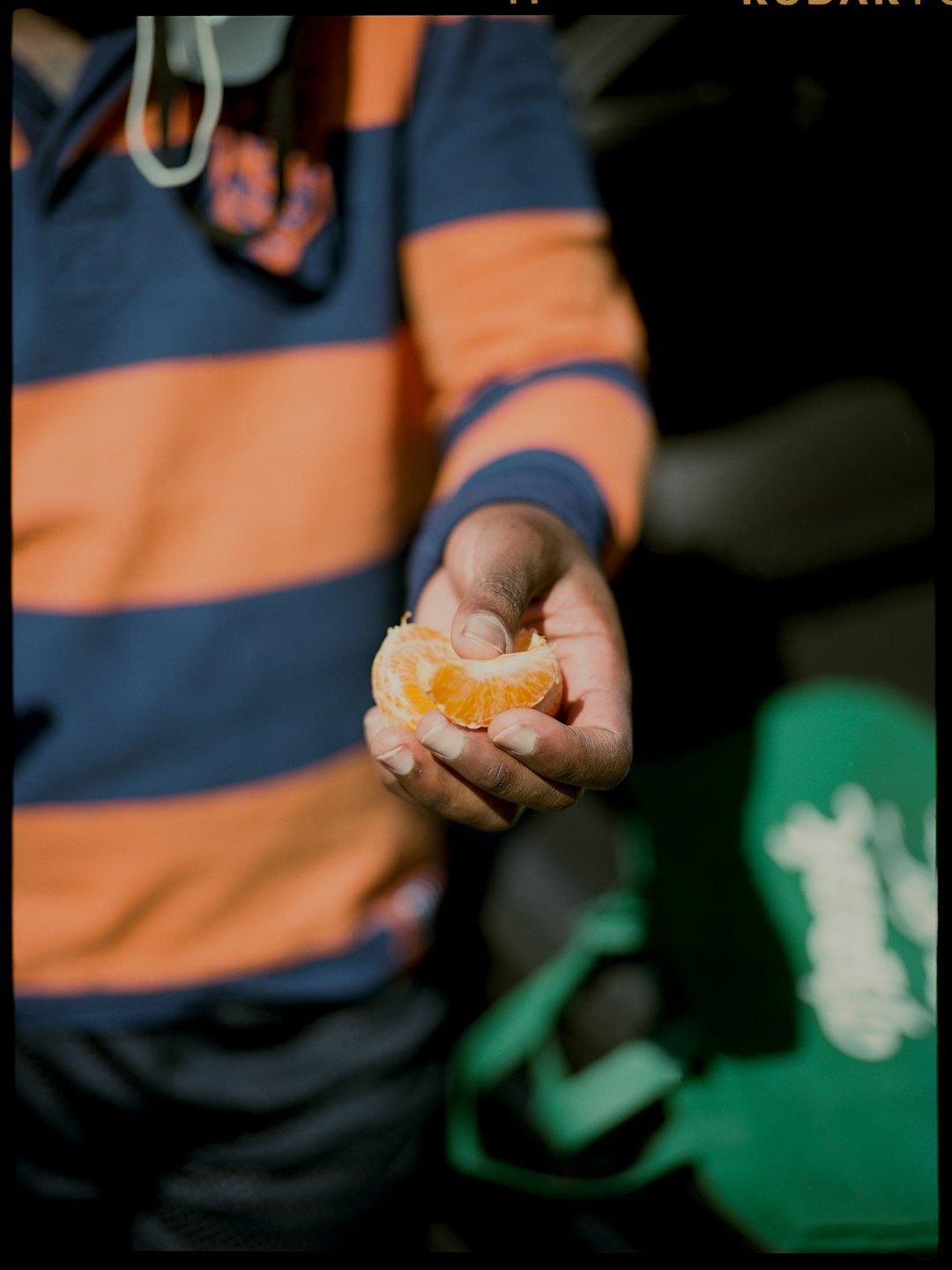 The Urban Sharing Revolution (image credits: unsplash)