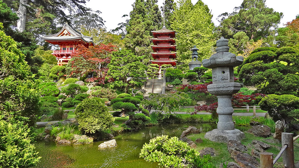 Converting Lawn to Wildlife Habitat Is Trending (And It's About Time) (image credits: flickr)