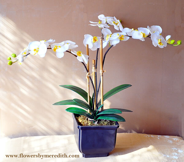 Seasonal Container Groupings (image credits: flickr)