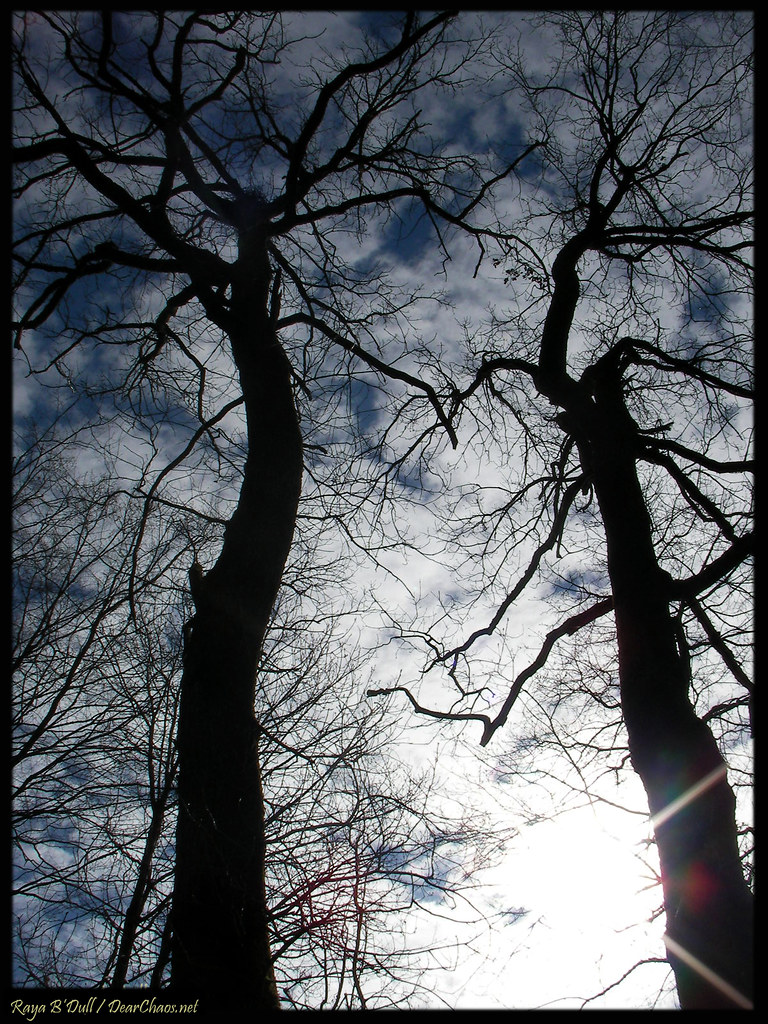 The Costly Consequences of Cutting (image credits: flickr)