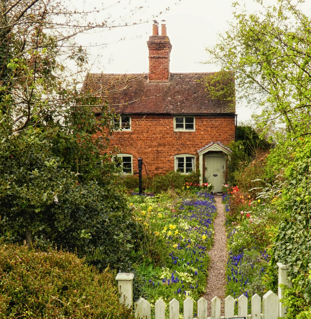 The Aesthetic Evolution (image credits: flickr)