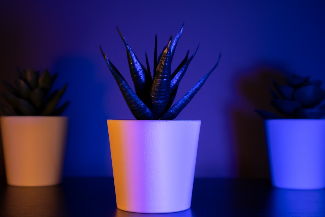 Faux Plants Overload (image credits: unsplash)