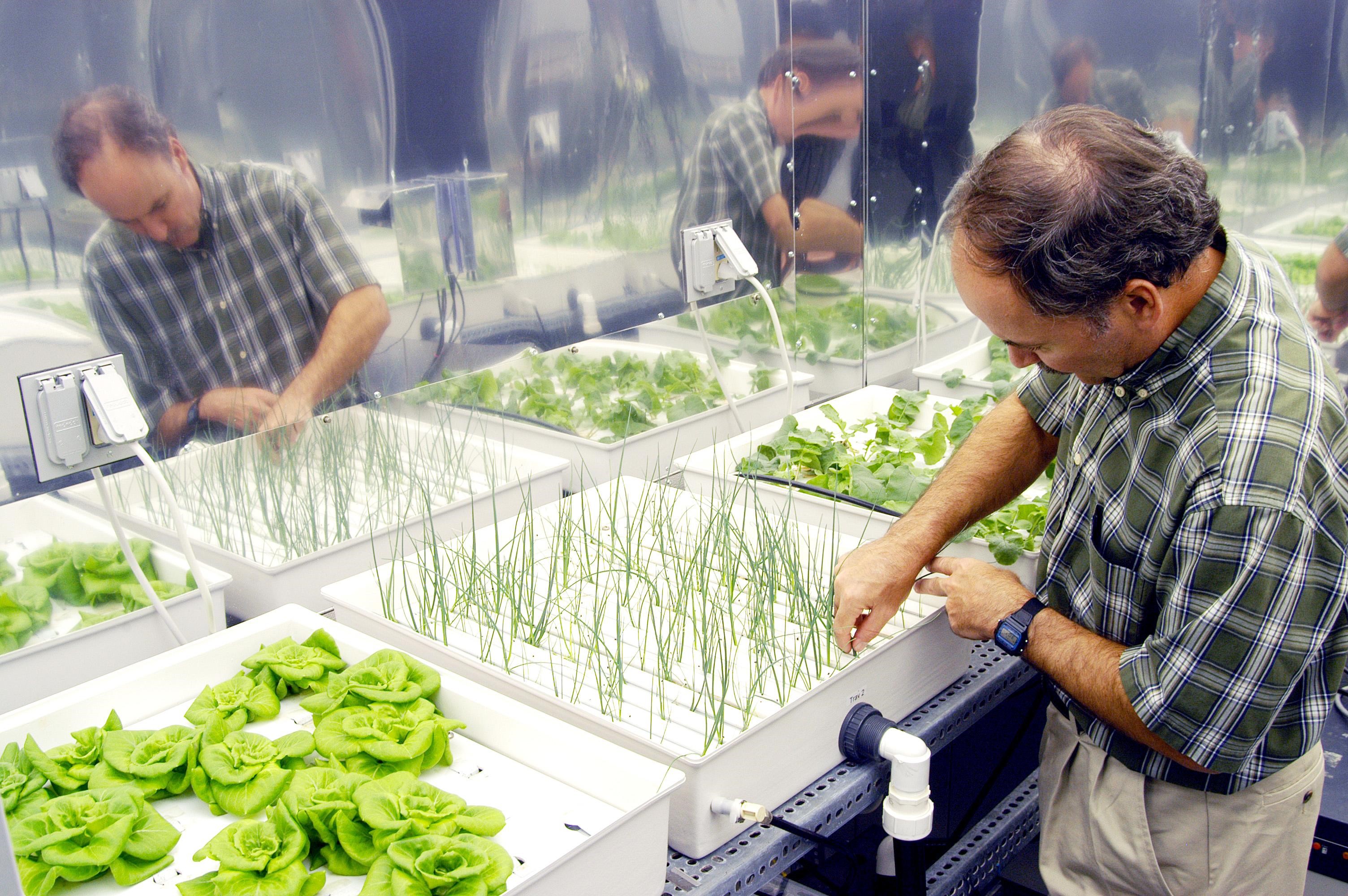 The Future of Clean, High-Tech Gardening (image credits: wikimedia)