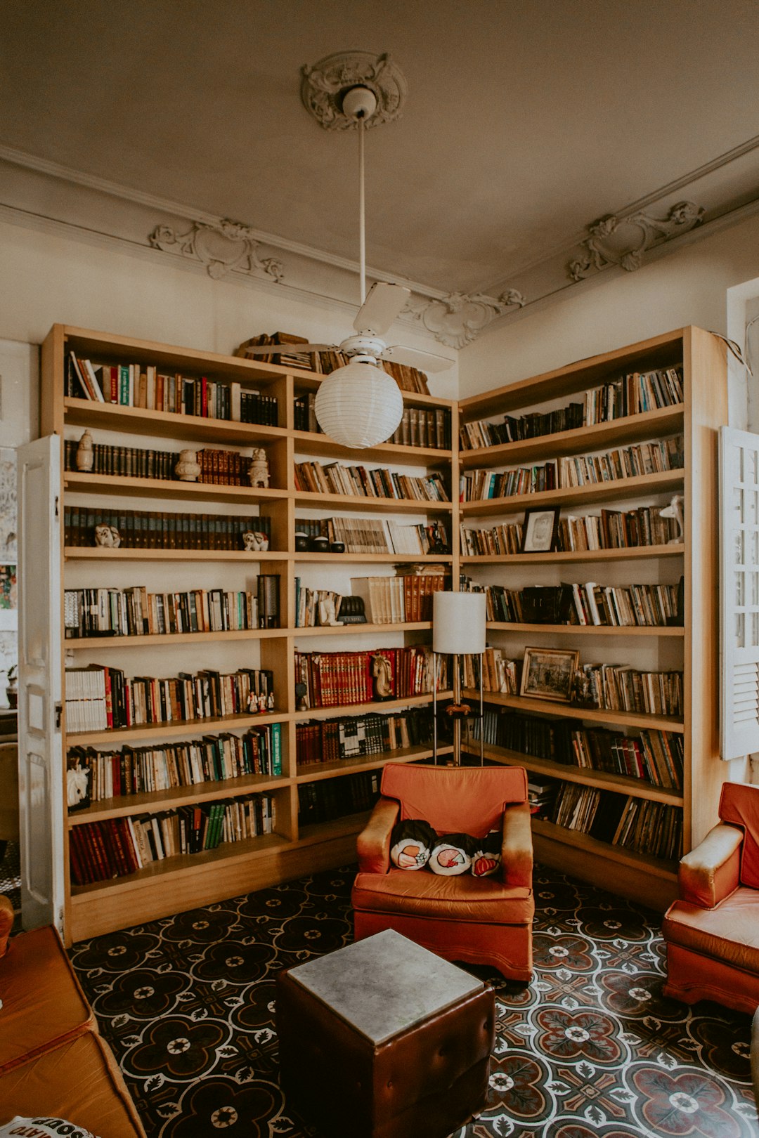 Large Book Collections and Personal Libraries (image credits: unsplash)