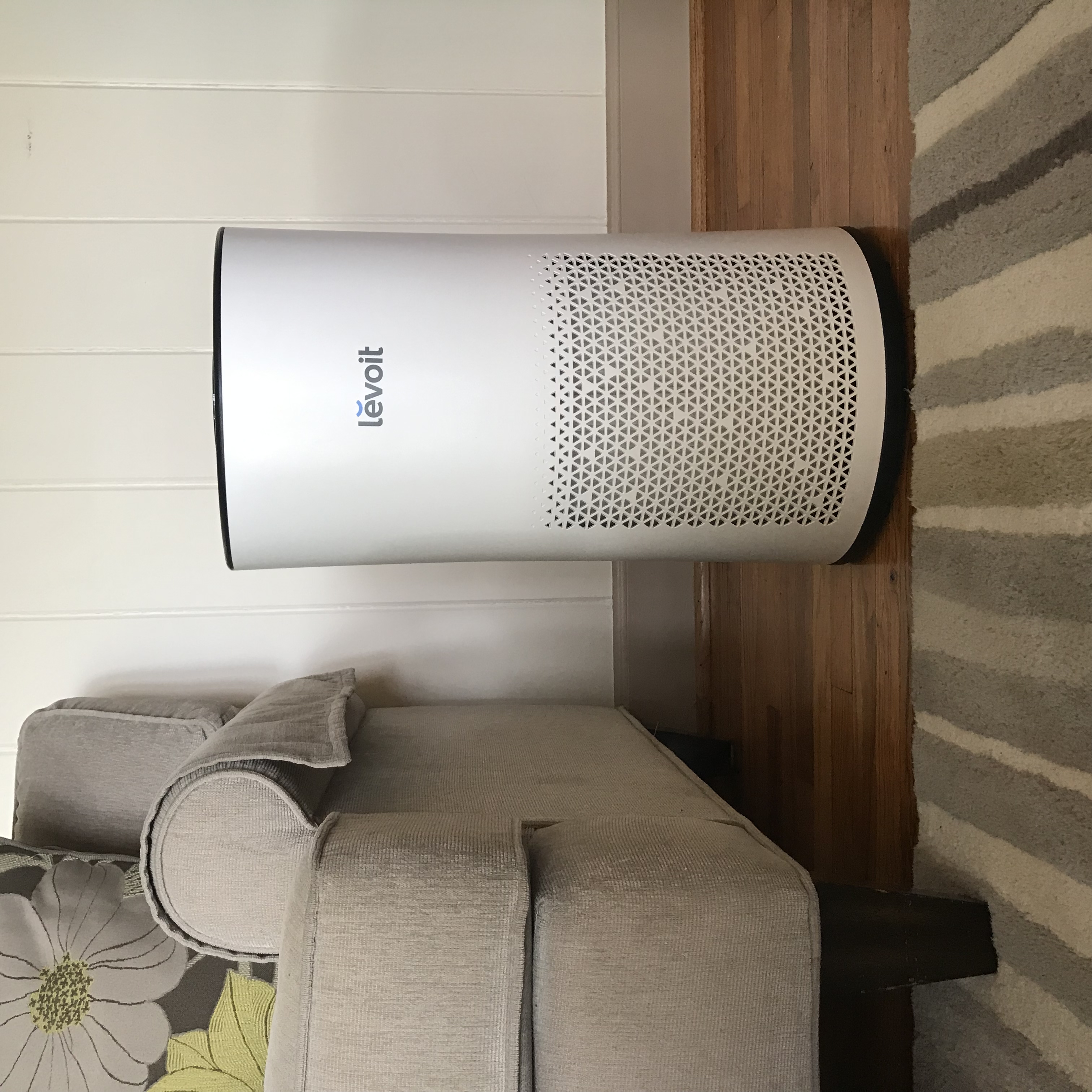 Innovative Air Purification Systems (image credits: wikimedia)