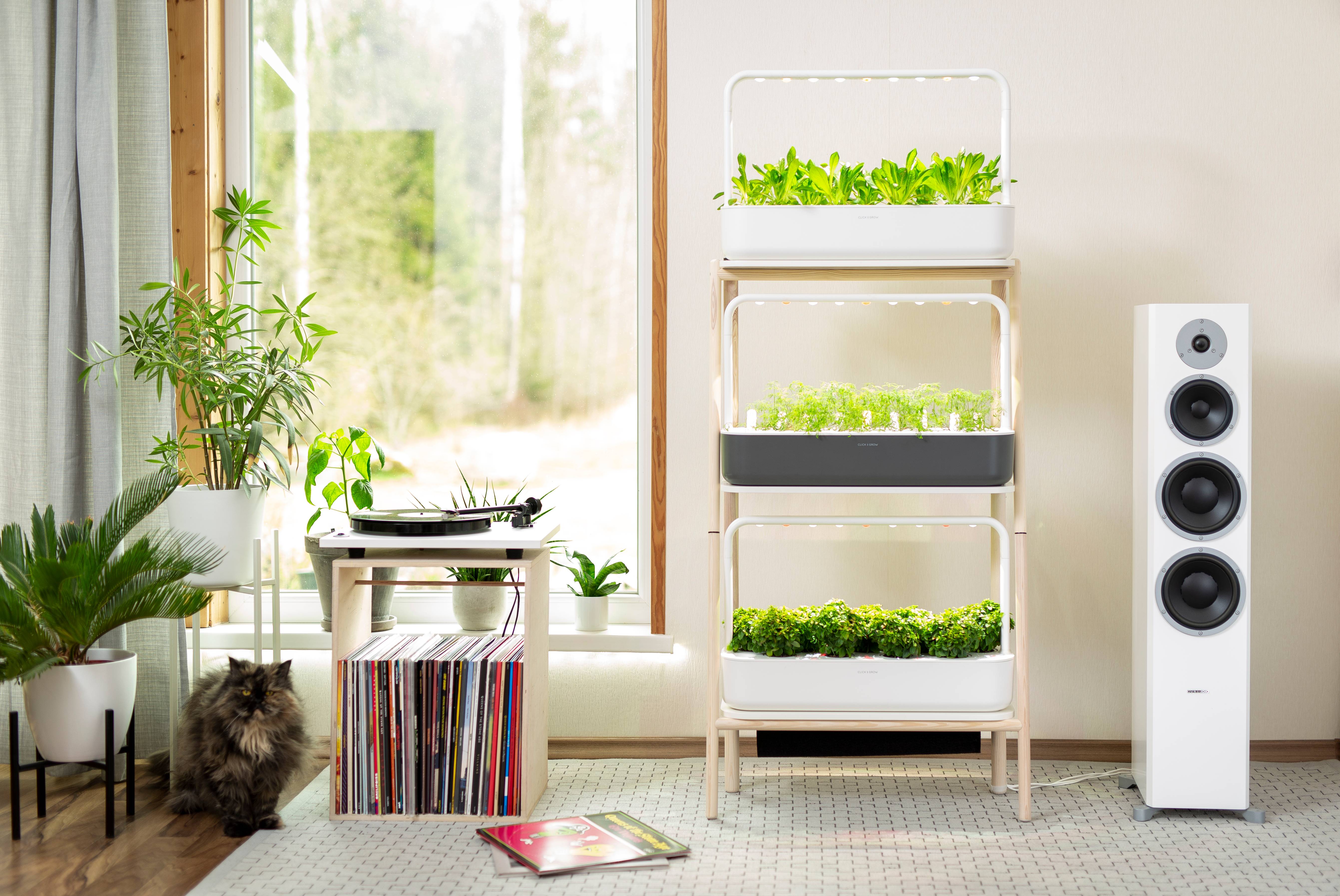 Biophilic Design Combines Nature and Technology (image credits: wikimedia)