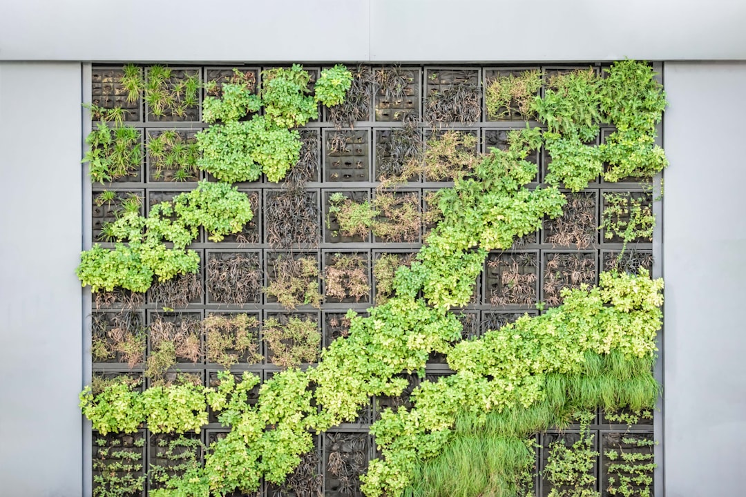 Living Walls & Vertical Gardens