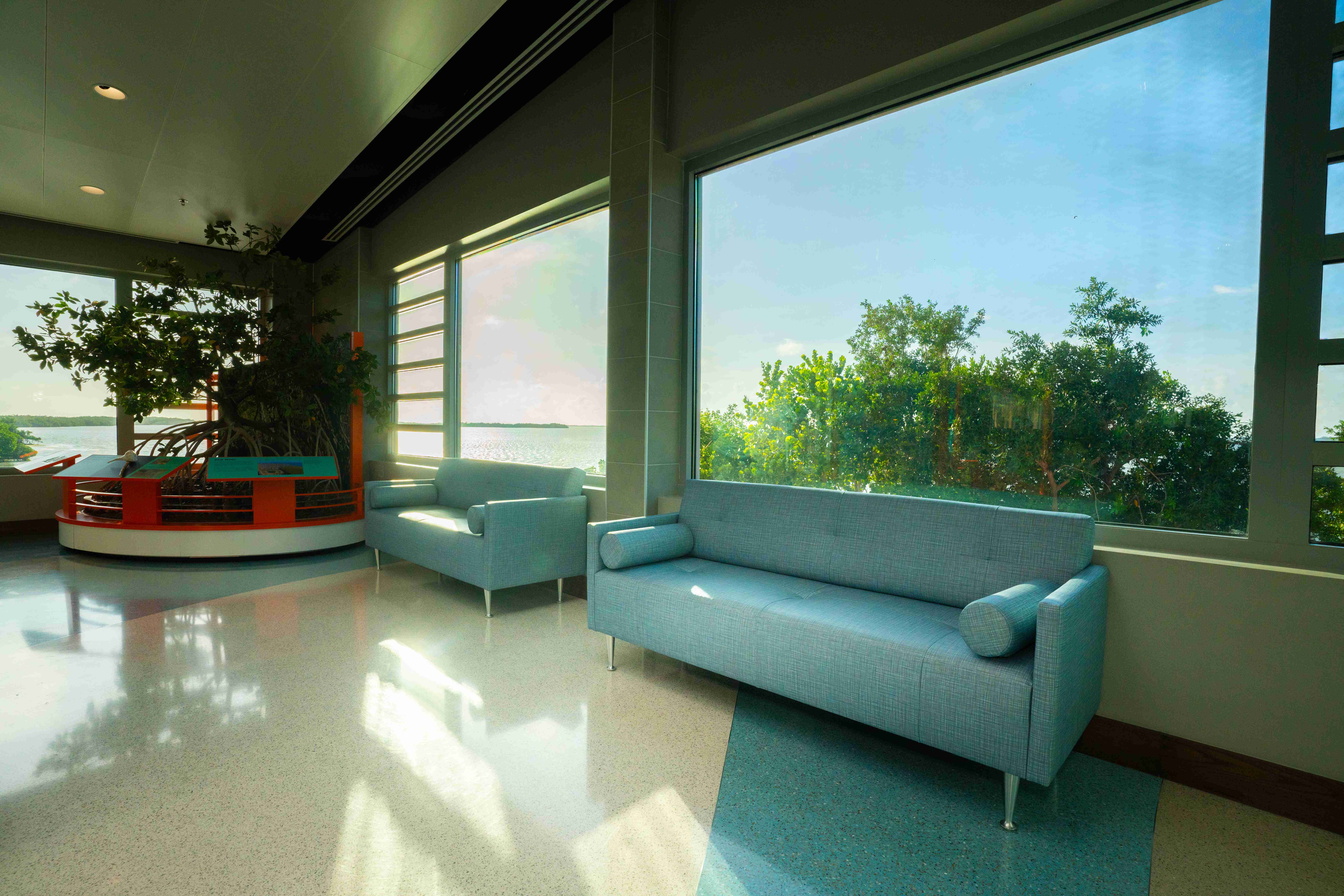 Sustainable Luxury: Eco-Friendly Dazzling Sofas (image credits: wikimedia)