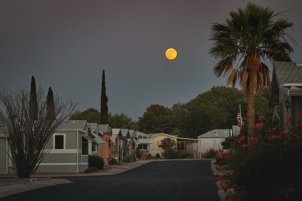 The Conclusion: Morning as Community Contract (image credits: flickr)