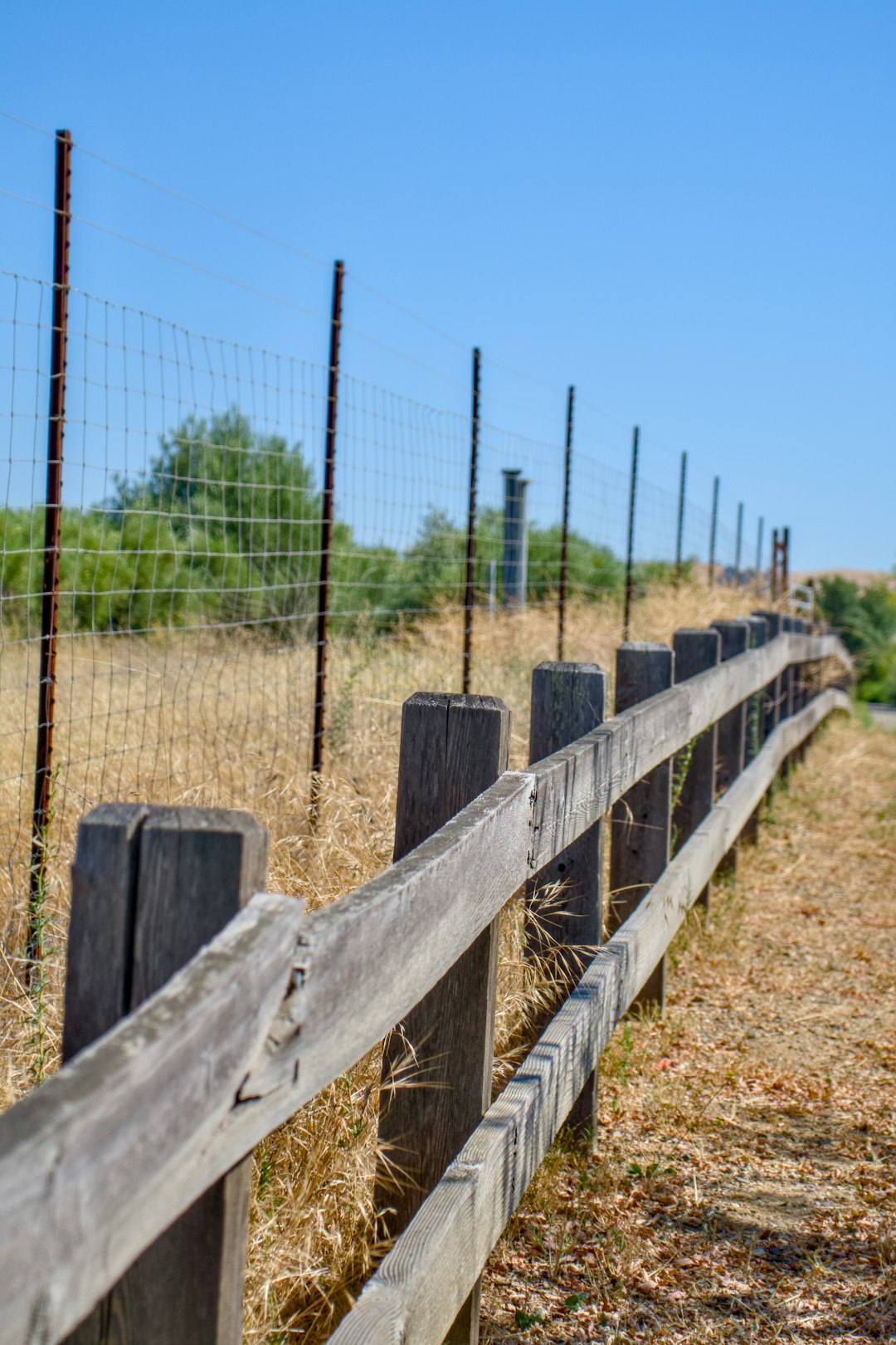Property Line Myths That Keep Us Fenced In (image credits: unsplash)