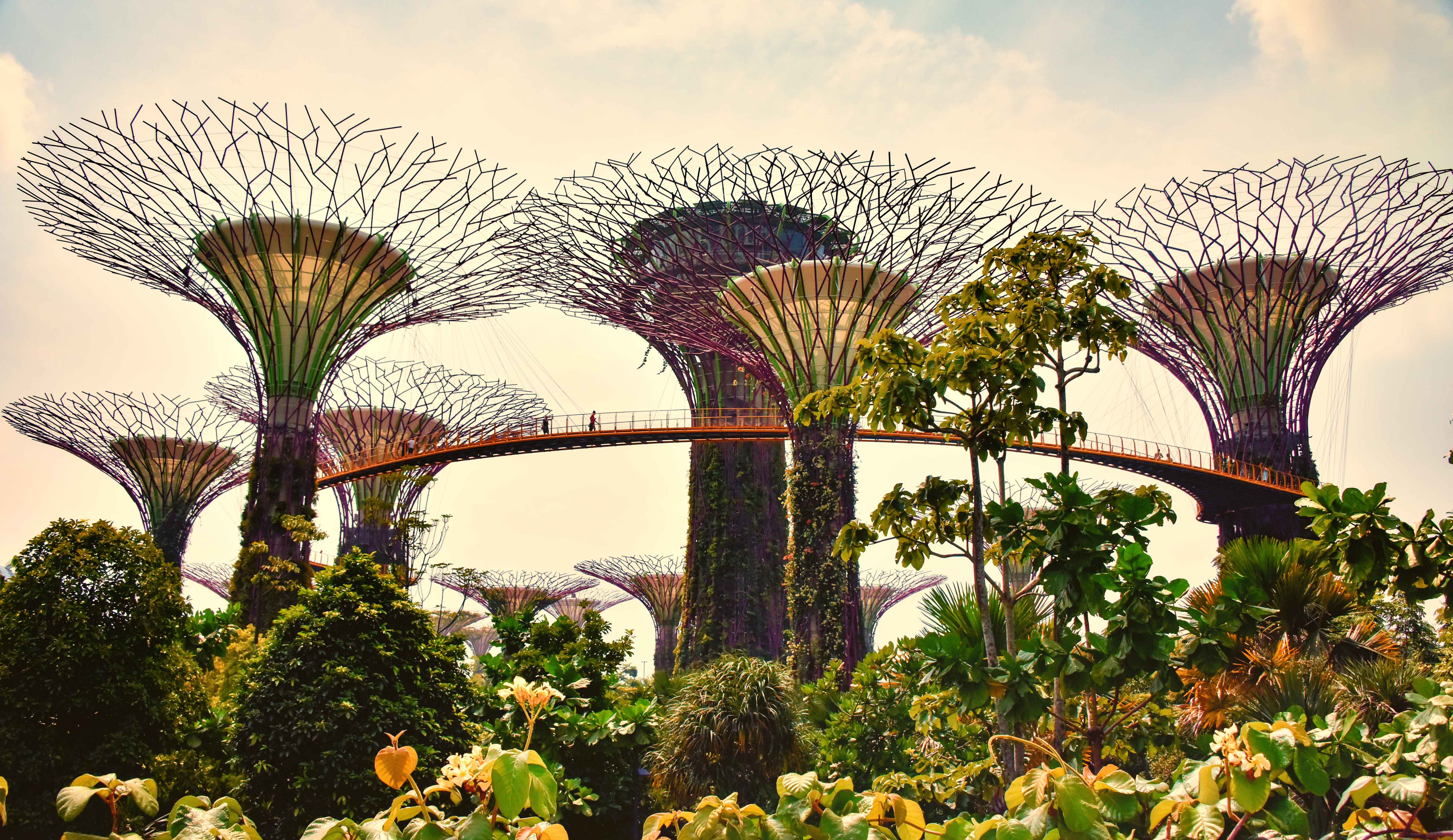 Biophilic Design: Bringing Nature Indoors (image credits: wikimedia)