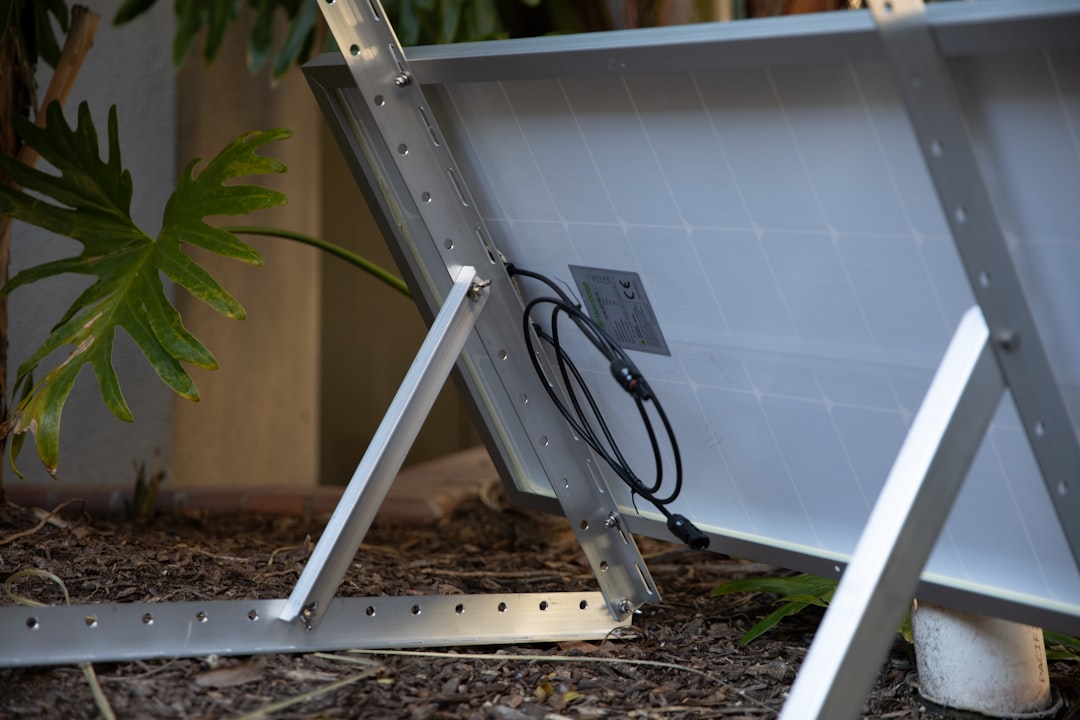 Smart Technology Transforms the Backyard (image credits: unsplash)