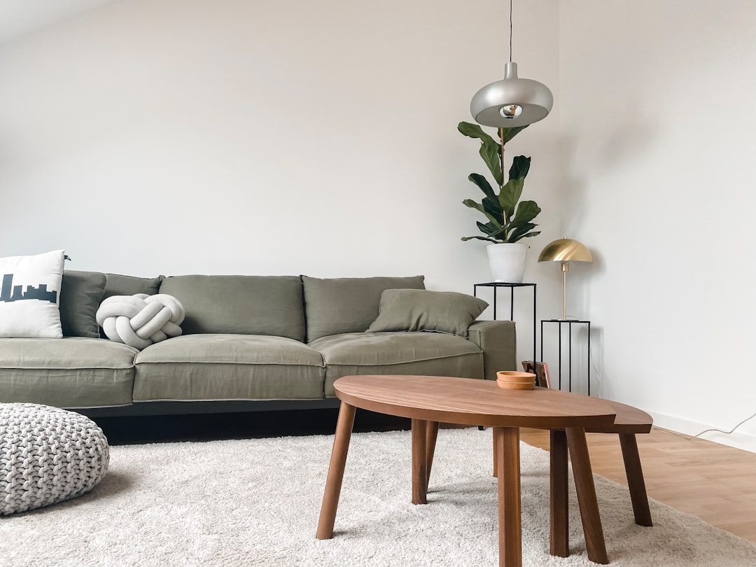Changing Tastes: A Shift Away from Plush Furnishings (image credits: unsplash)
