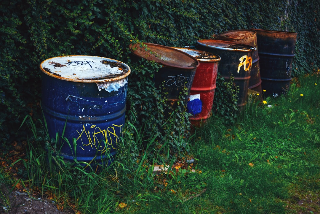 Outdoor Canning and Preservation Stations (image credits: unsplash)