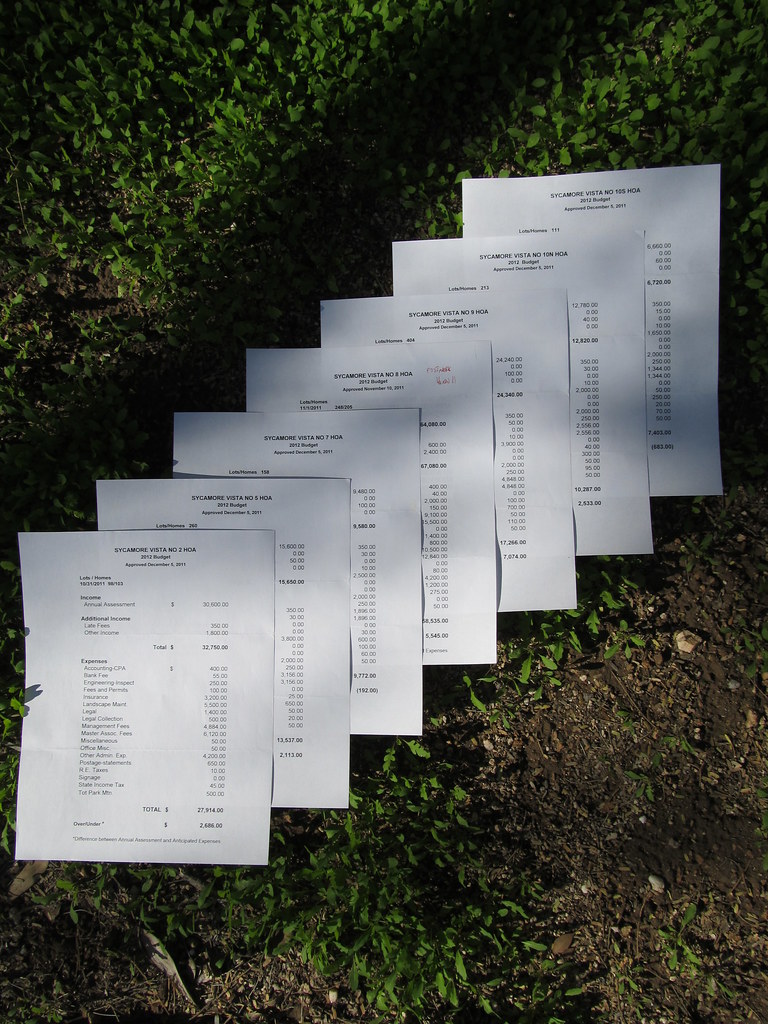 The Legal Framework Behind HOA Authority (image credits: flickr)