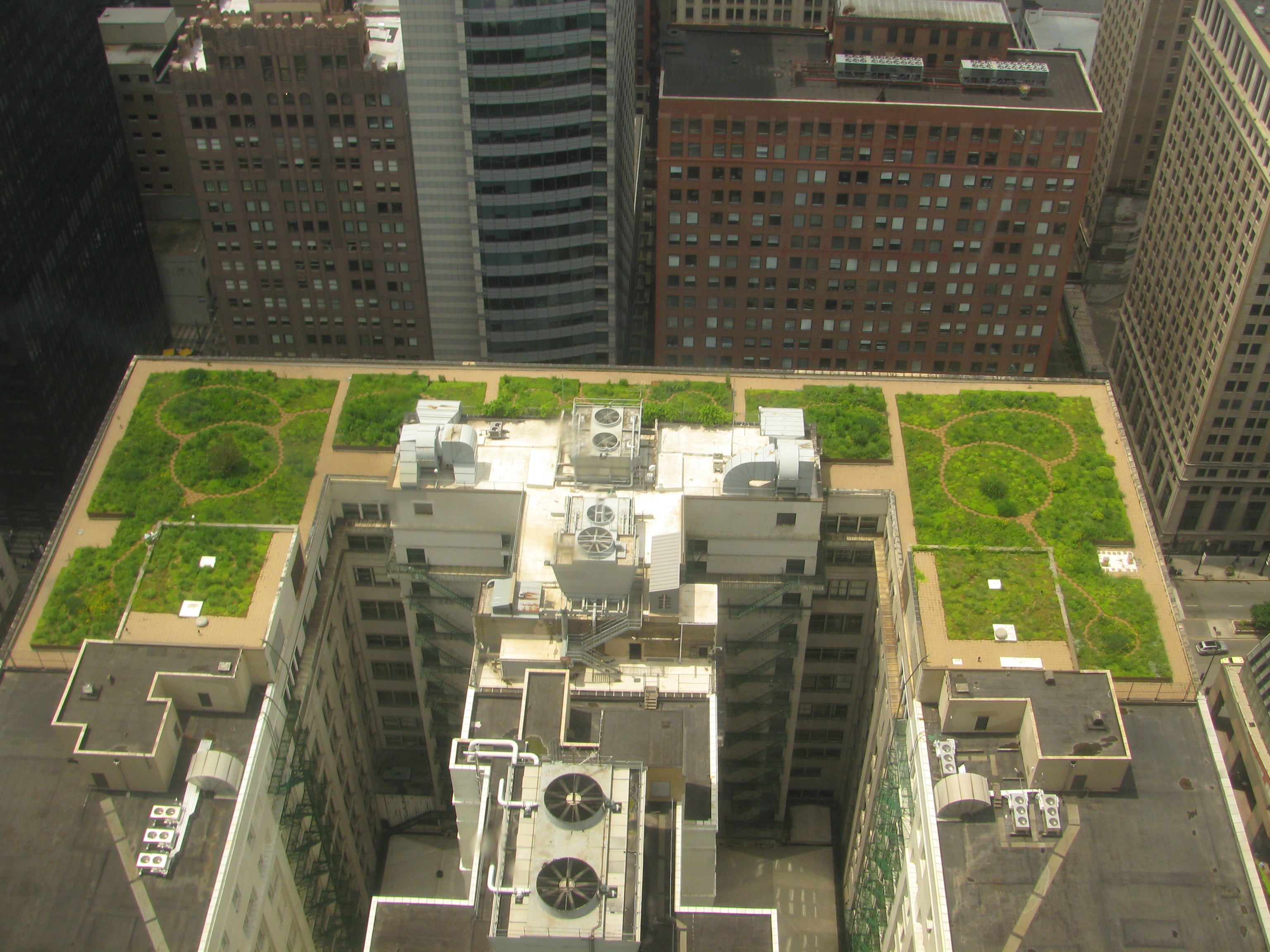 Green Roofs and Living Walls (image credits: wikimedia)
