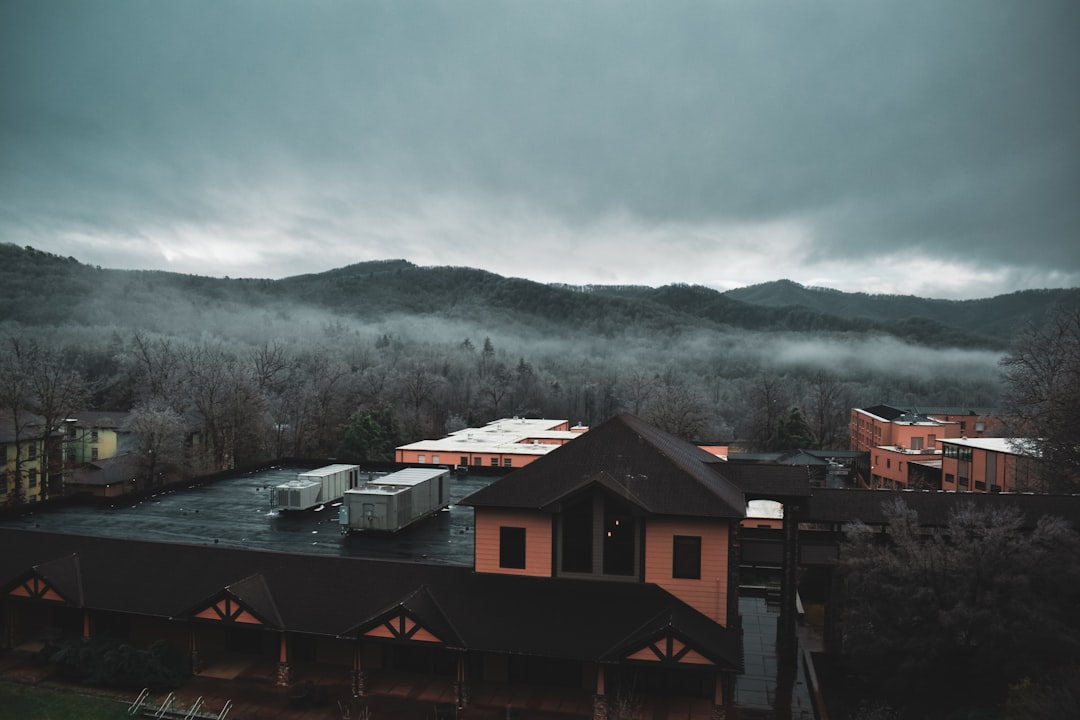 Asheville, North Carolina: Creative Energy Meets Mountain Tranquility (image credits: unsplash)