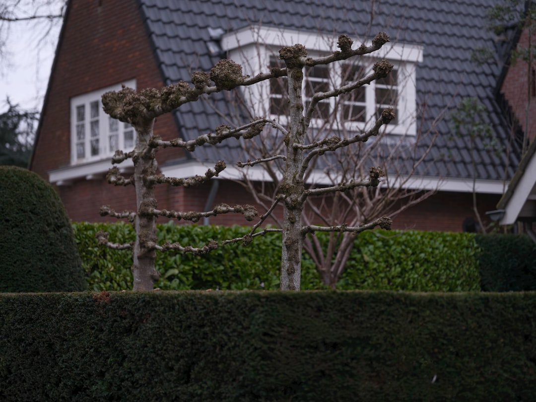 The Bottom Line (image credits: unsplash)