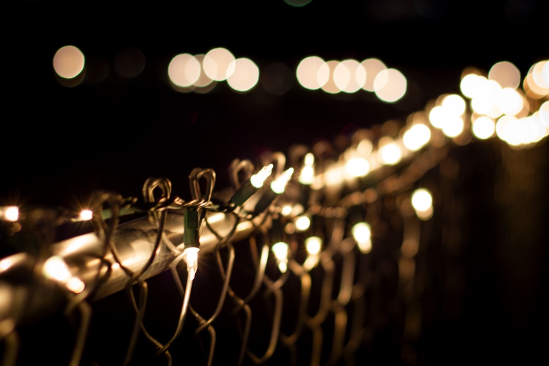 String Lights Across Property Lines (image credits: unsplash)
