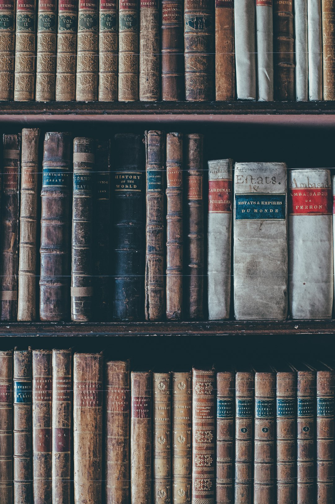 The Charm of Vintage Libraries (image credits: unsplash)