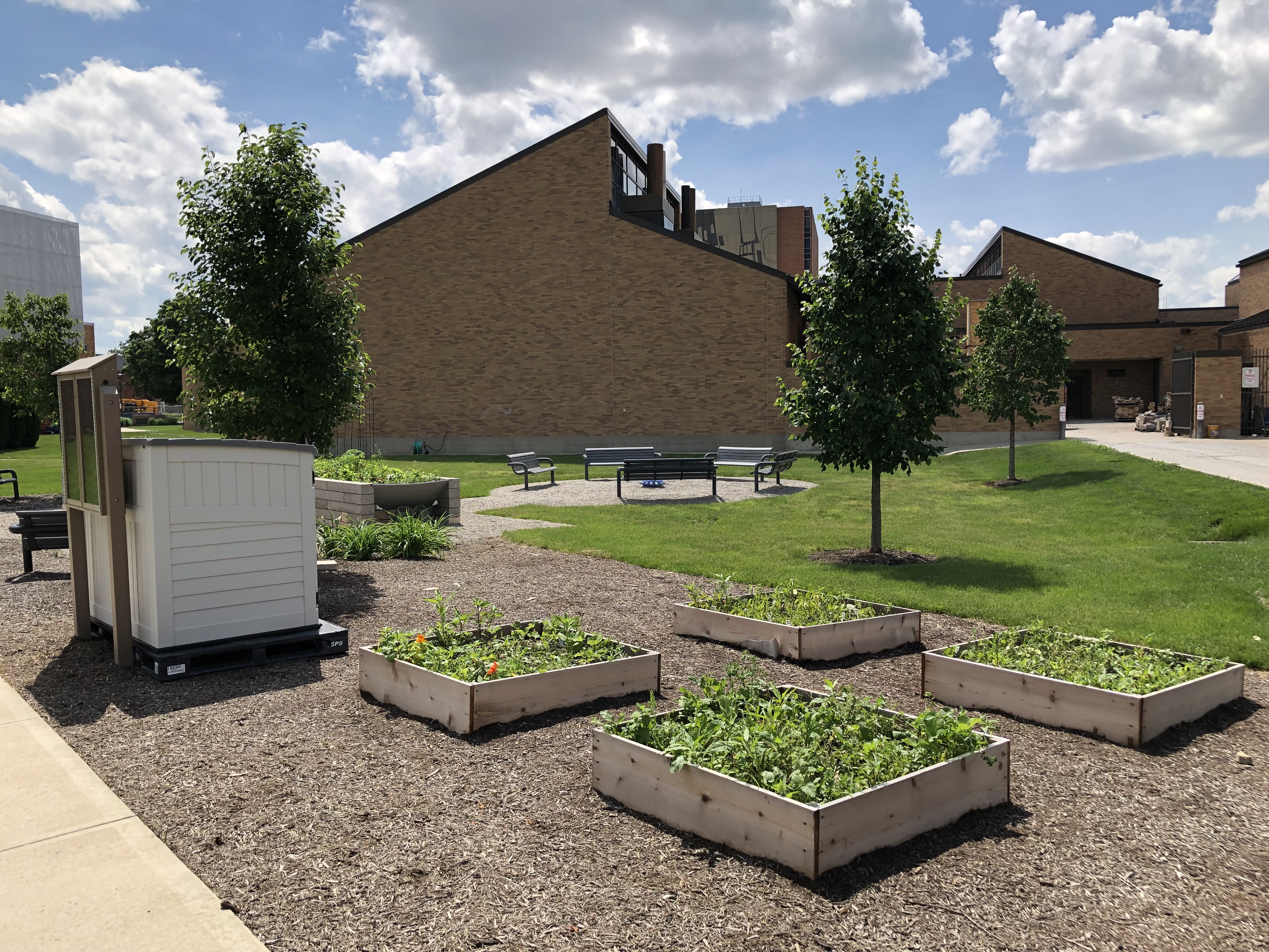 The Broader Movement (image credits: wikimedia)