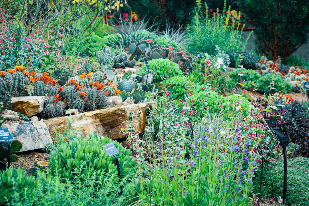 The Magic of Layers - Maximum Wildlife in Minimal Space (image credits: unsplash)