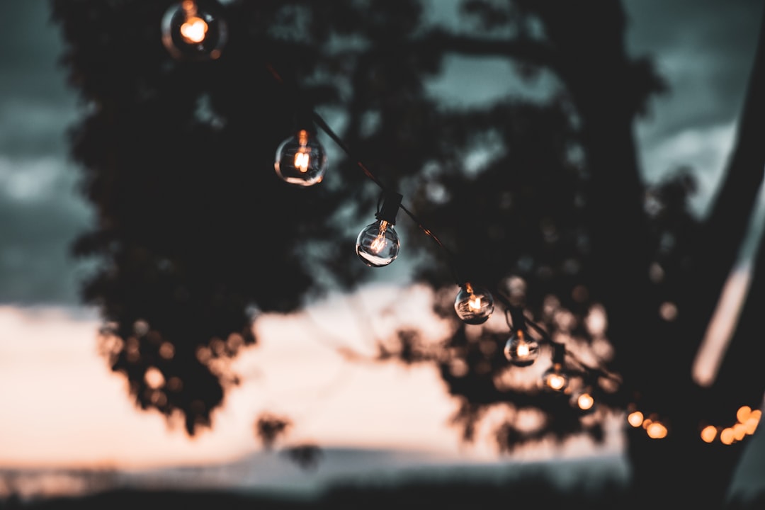String Lights & Outdoor Lighting (image credits: unsplash)
