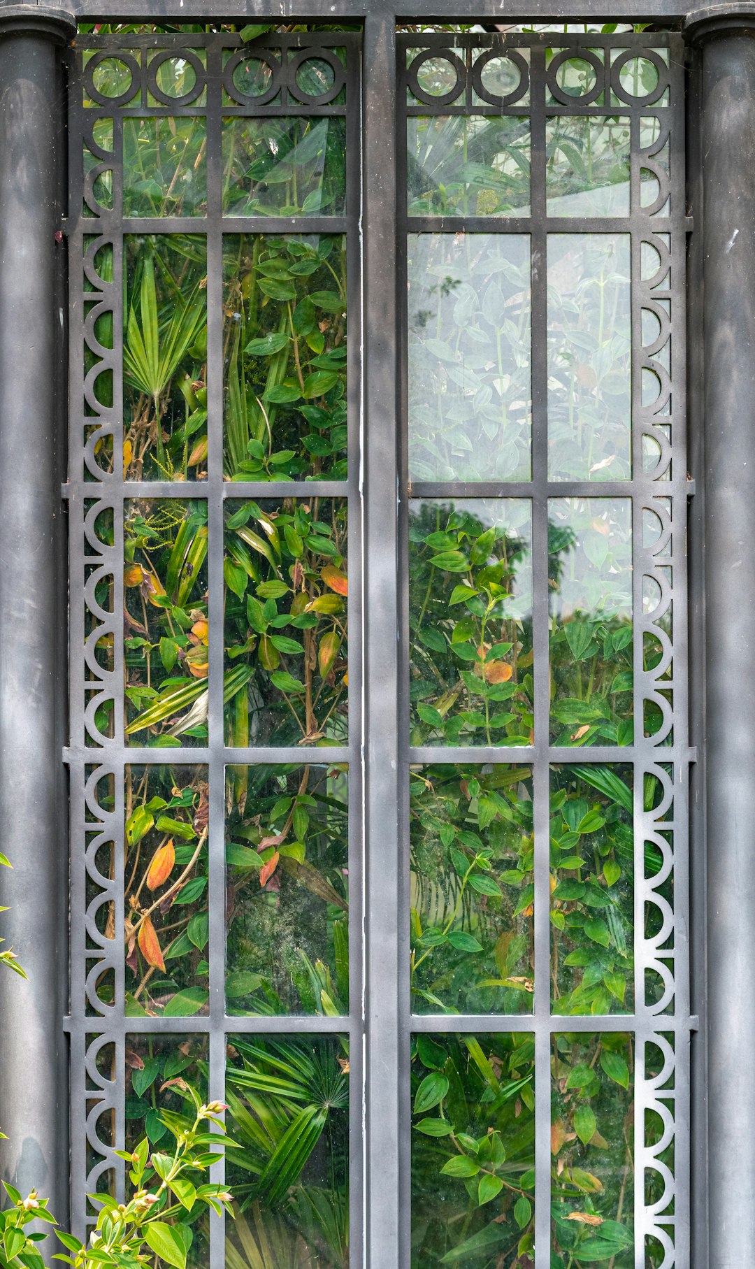 Apartment-Friendly Vegetables: Beyond Herbs (image credits: unsplash)