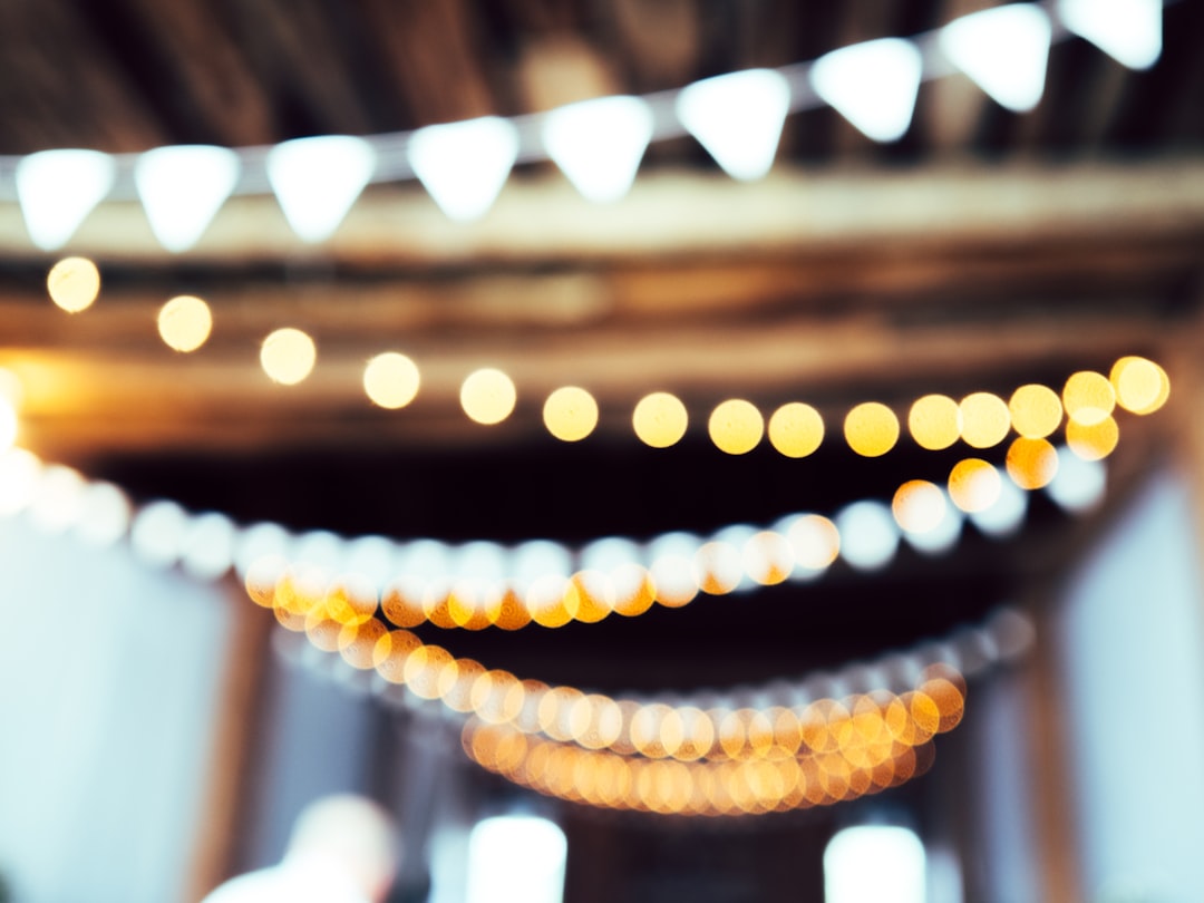 The Municipal Support System (image credits: unsplash)