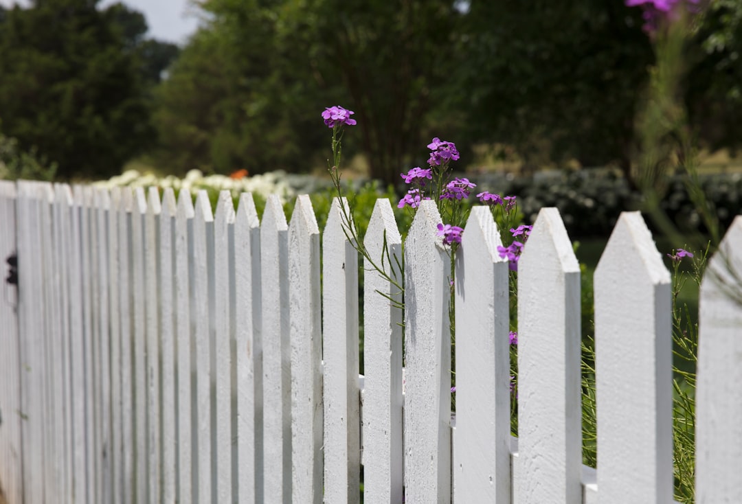 The Good Neighbor Fence Law Trap (image credits: unsplash)