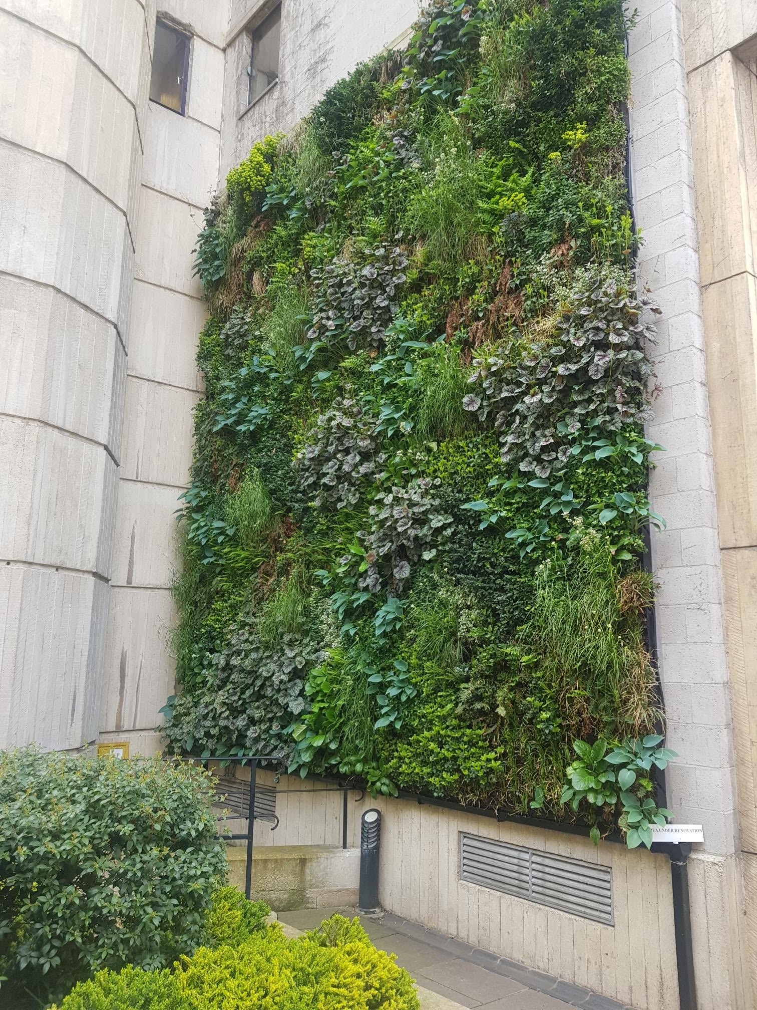 Living Green Walls (image credits: wikimedia)