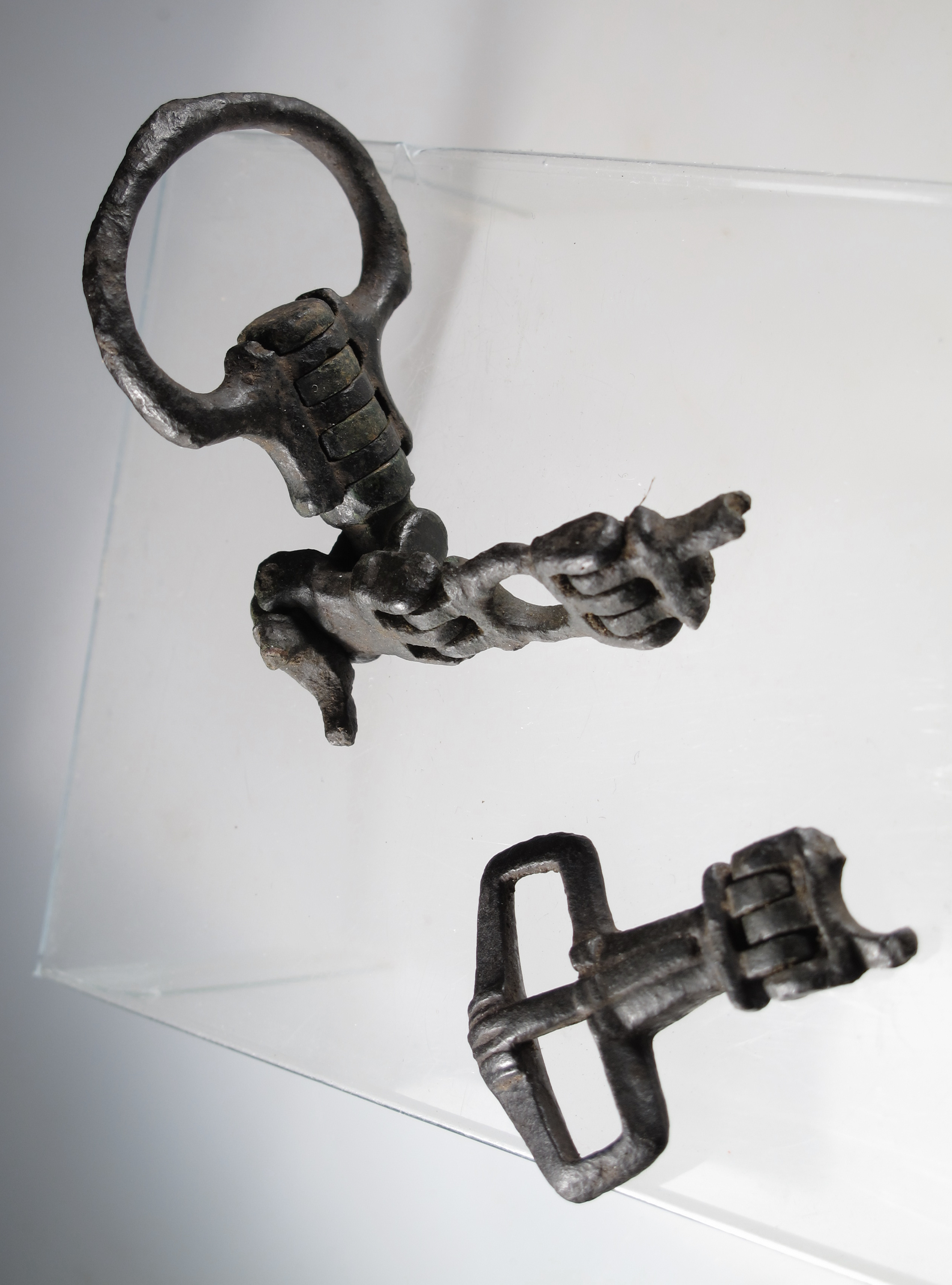 Pet Supplies and Accessories (image credits: By Birmingham Museums Trust, Peter Reavill, 2014-07-09 12:06:19, CC BY-SA 2.0, https://commons.wikimedia.org/w/index.php?curid=55466312)