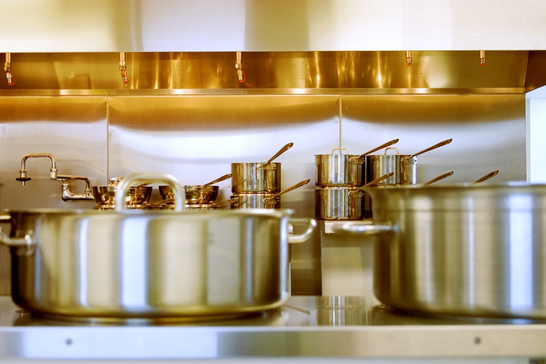 Stainless Steel: From Pro Kitchen to Polarizing (image credits: unsplash)