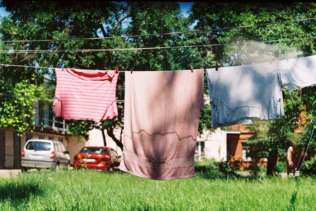 Clotheslines Make an Energy-Conscious Return (image credits: unsplash)