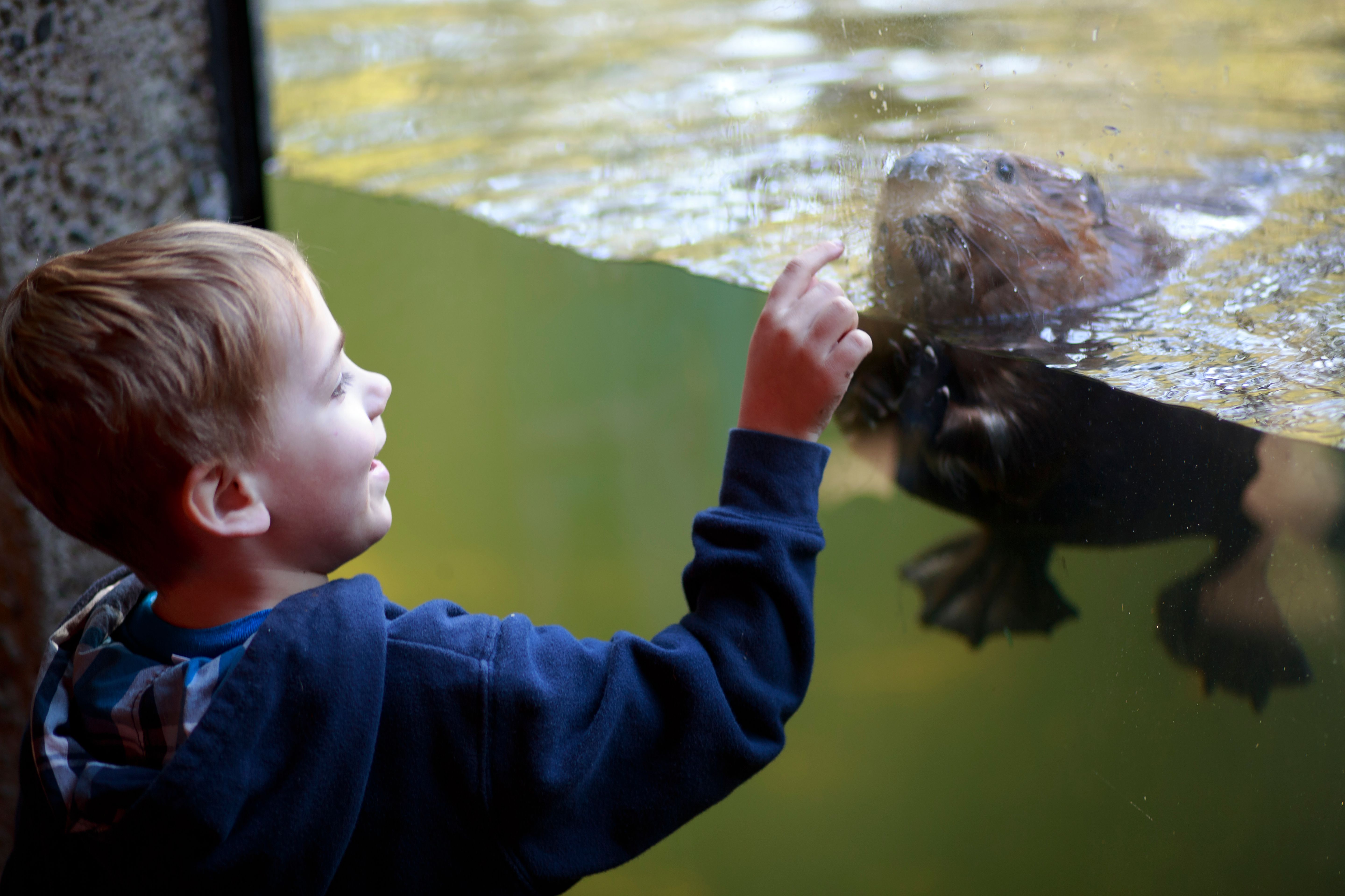 Privacy without Compromise (image credits: wikimedia)