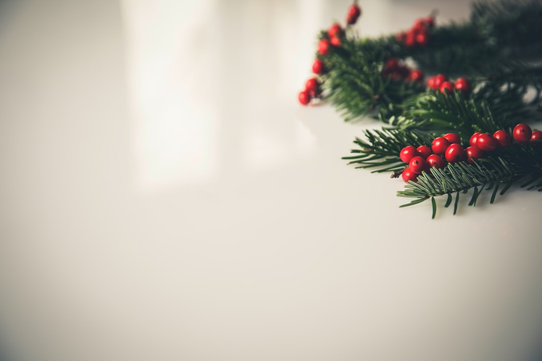 Seasonal Decor That Never Leaves Storage (image credits: unsplash)
