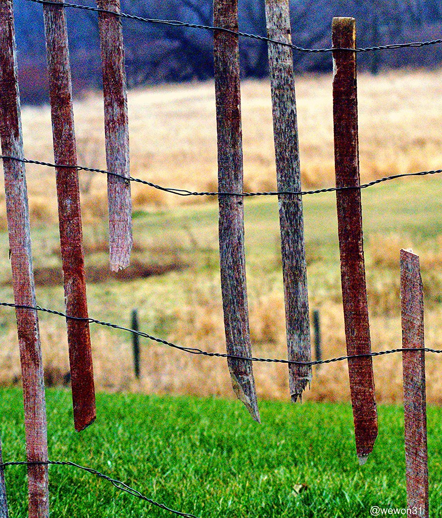 The Dark Side of Security: When Fences Create More Problems (image credits: flickr)