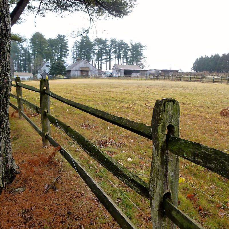 State Laws That Vary Dramatically (image credits: flickr)