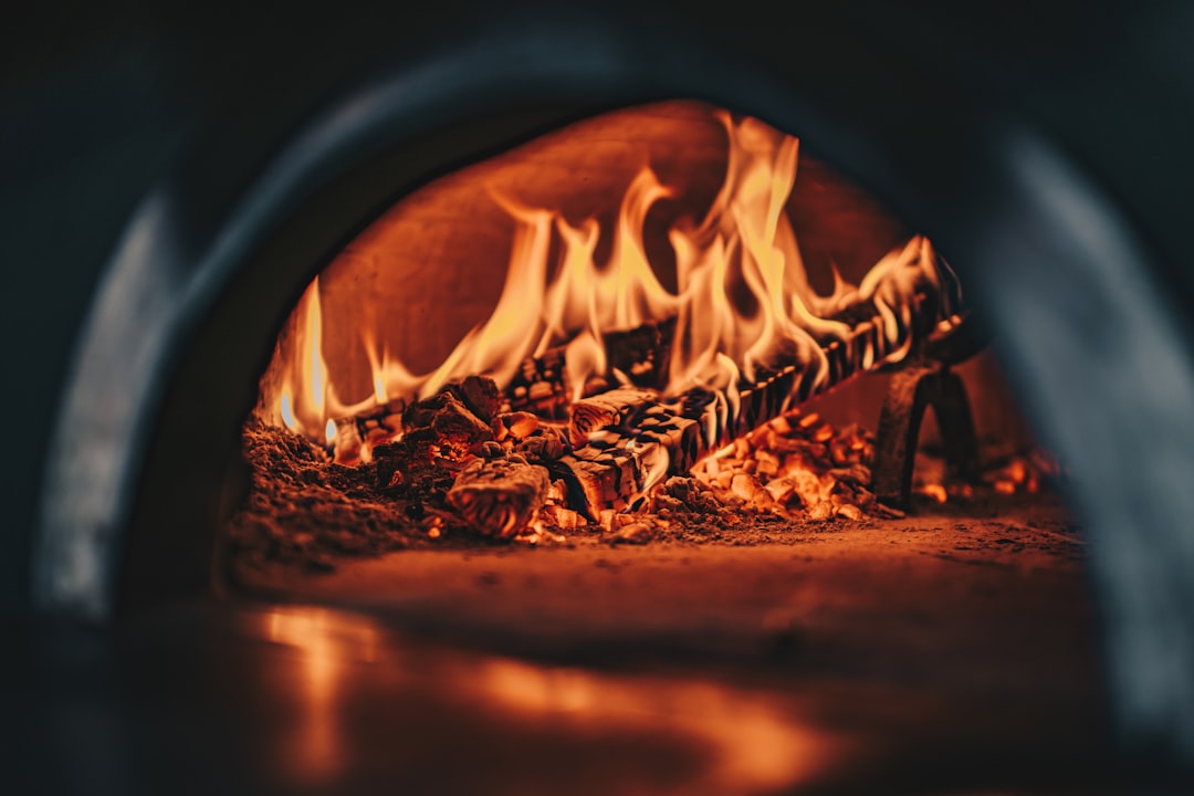 Outdoor Wood-Fired Cooking (image credits: unsplash)