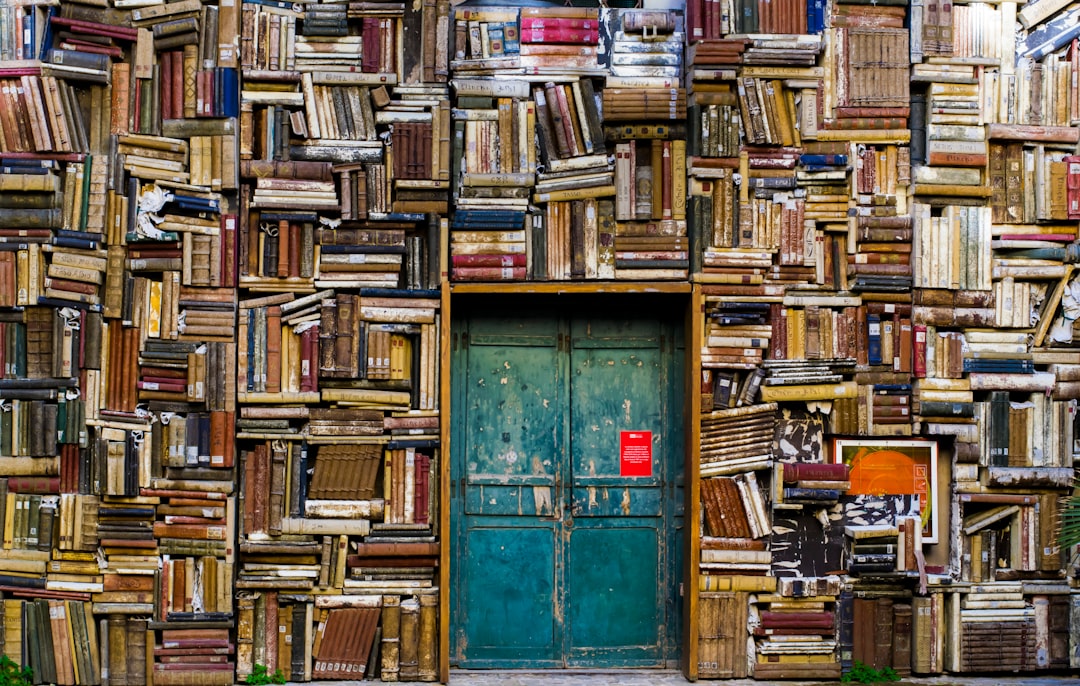 Bookshelf Doors: A Timeless Classic (image credits: unsplash)