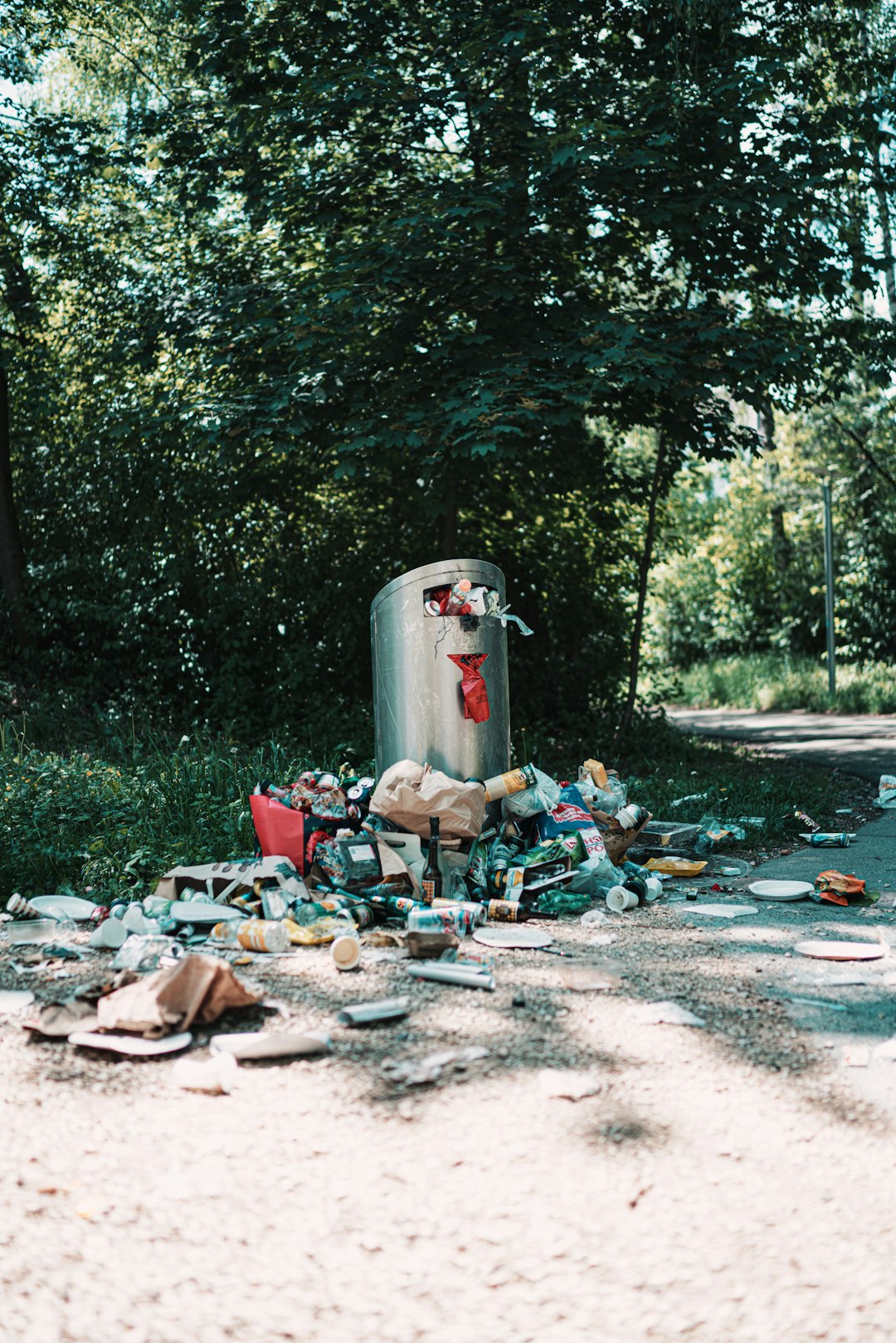 Clean Up Your Neighborhood (image credits: unsplash)