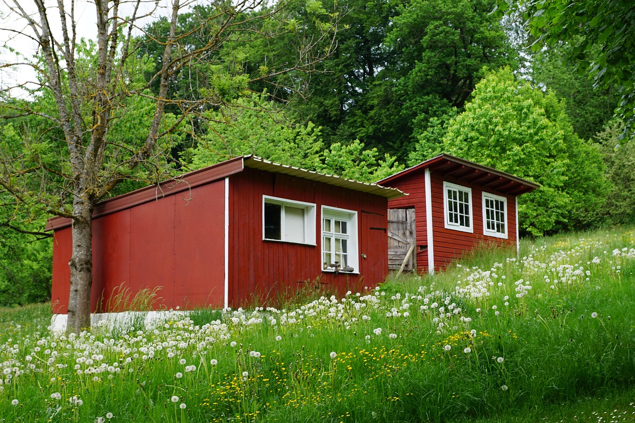Smaller Footprints: Downsizing for Sustainability (image credits: pixabay)