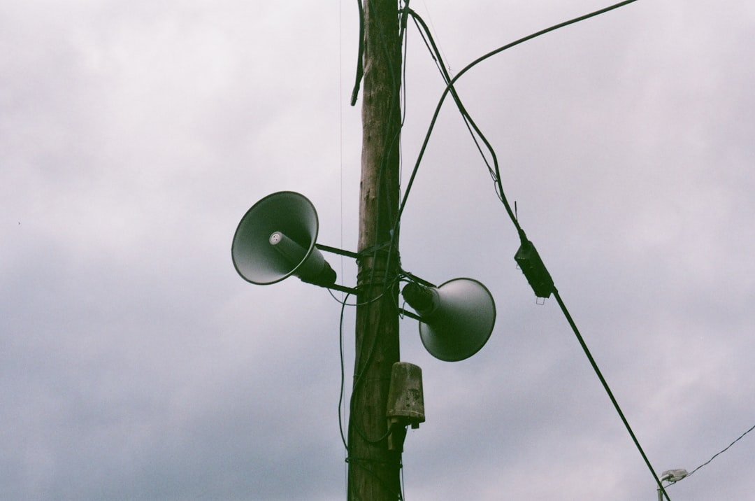 The Noise Complaint Phenomenon (image credits: unsplash)