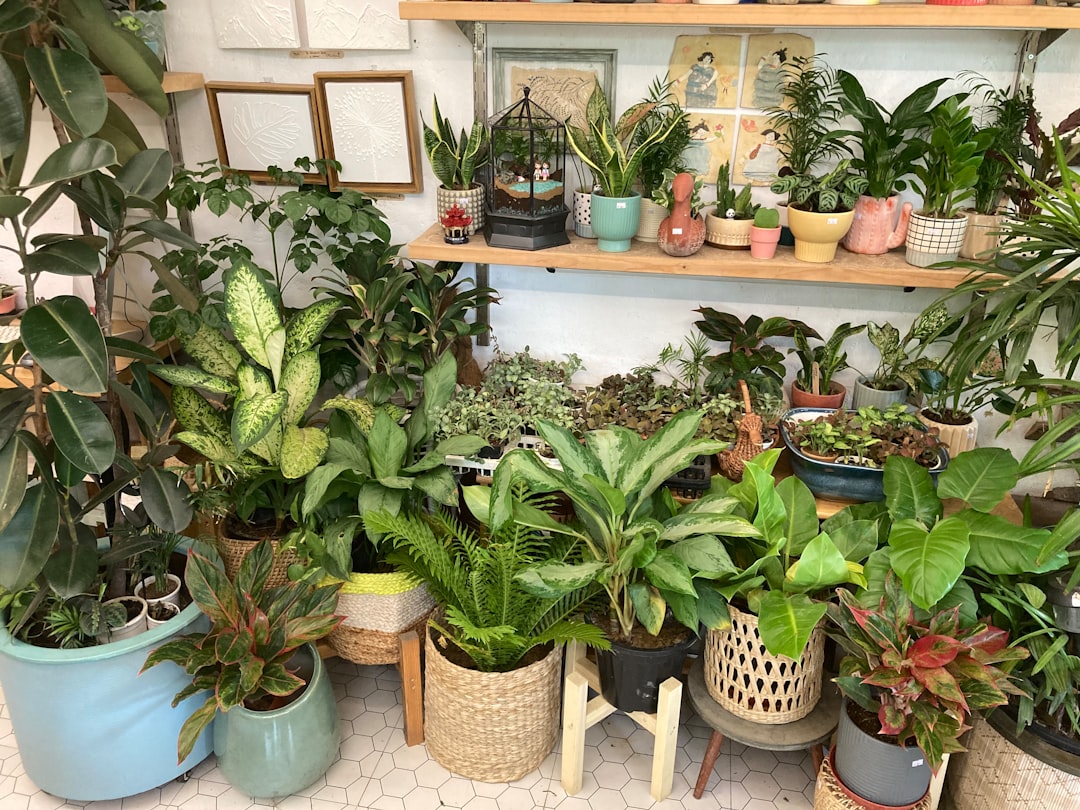 Budget-Friendly Plant Shopping Strategies (image credits: unsplash)