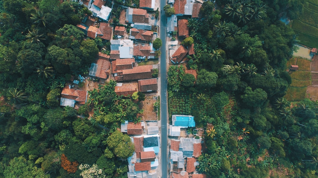 Future of Urban Living (image credits: unsplash)