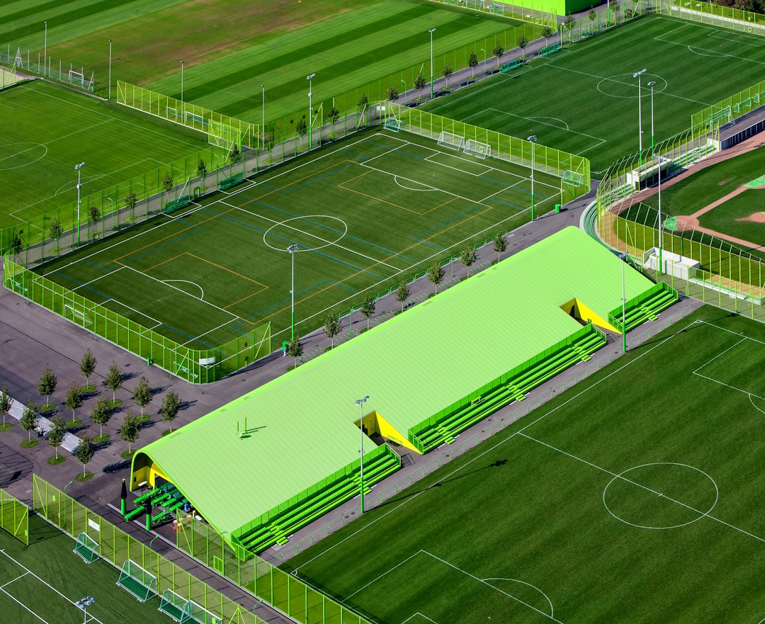 3. Faux Grass (Artificial Turf) (image credits: unsplash)