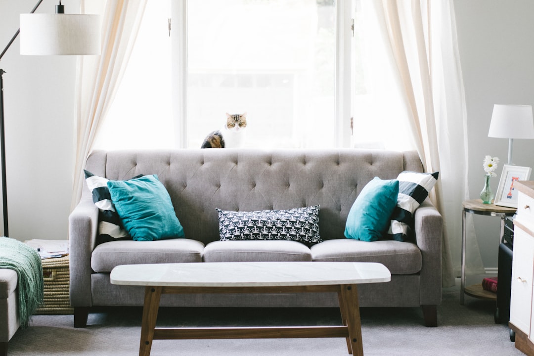 Excessive Throw Pillows Lose Their Charm (image credits: unsplash)