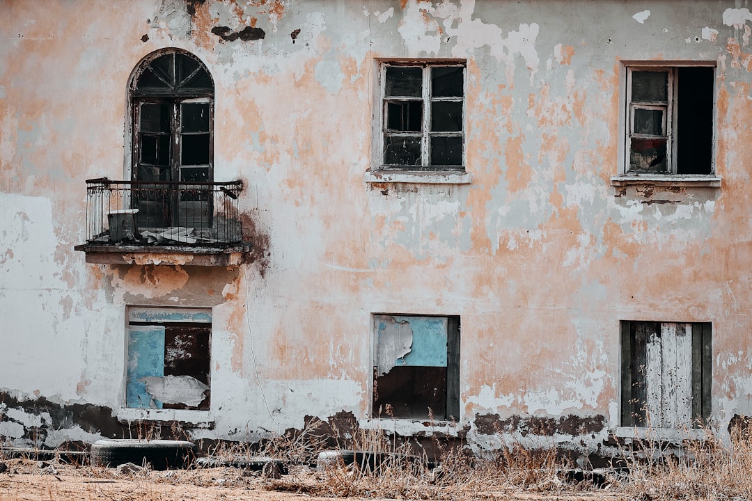 1. Introduction to Survival Homes (image credits: unsplash)