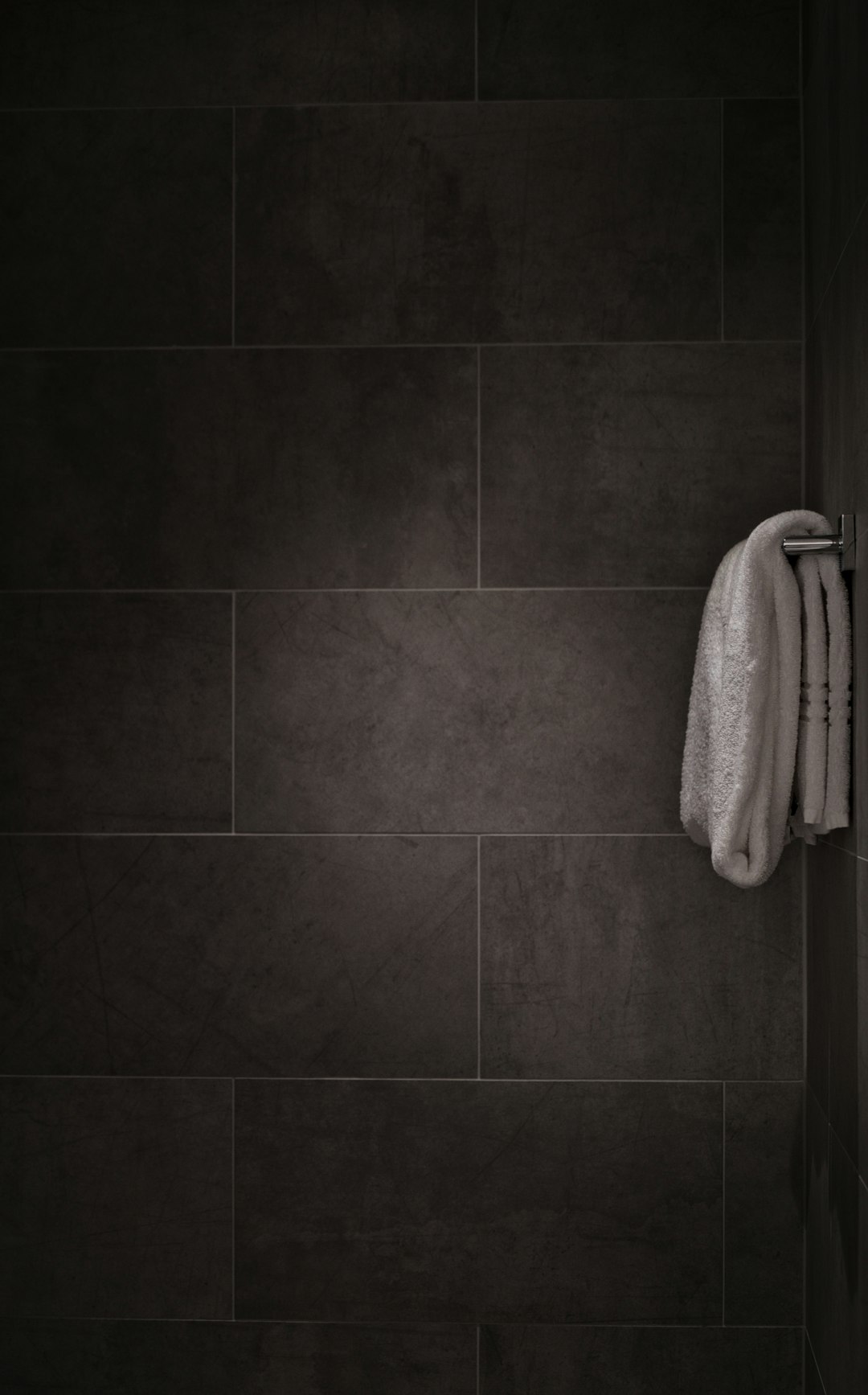 Frosted Glass Shower Doors (image credits: unsplash)